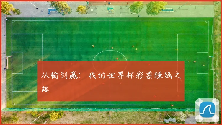 从输到赢：我的世界杯彩票赚钱之路
